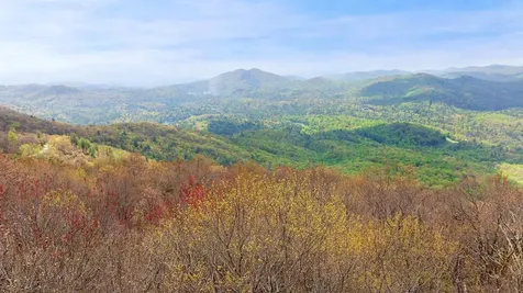 Lot 25 Falcon Ridge Road Sapphire NC 28774