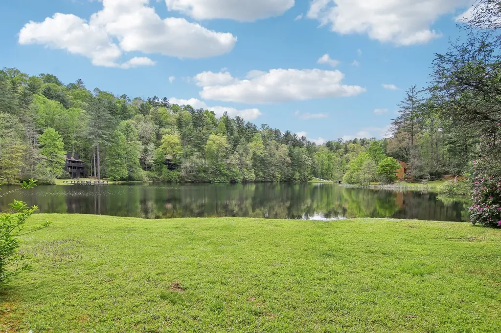 383 Wild Game Trail Sapphire NC 28774