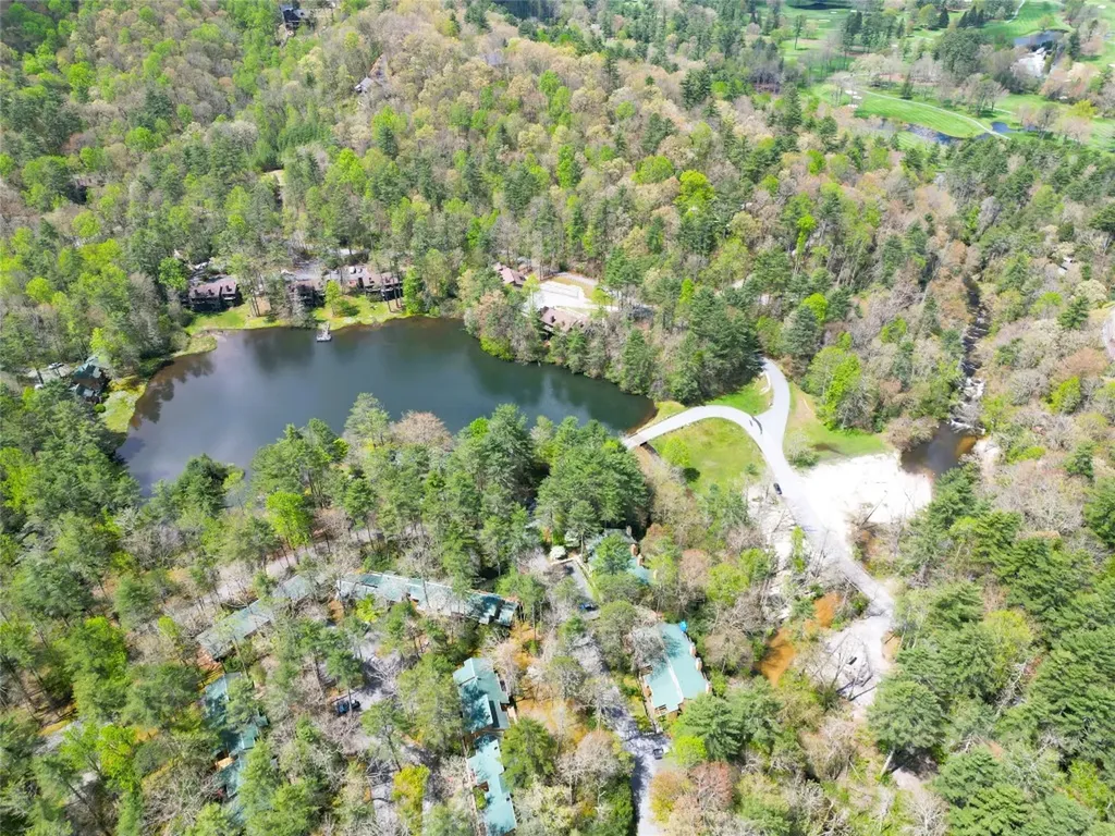 383 Wild Game Trail Sapphire NC 28774