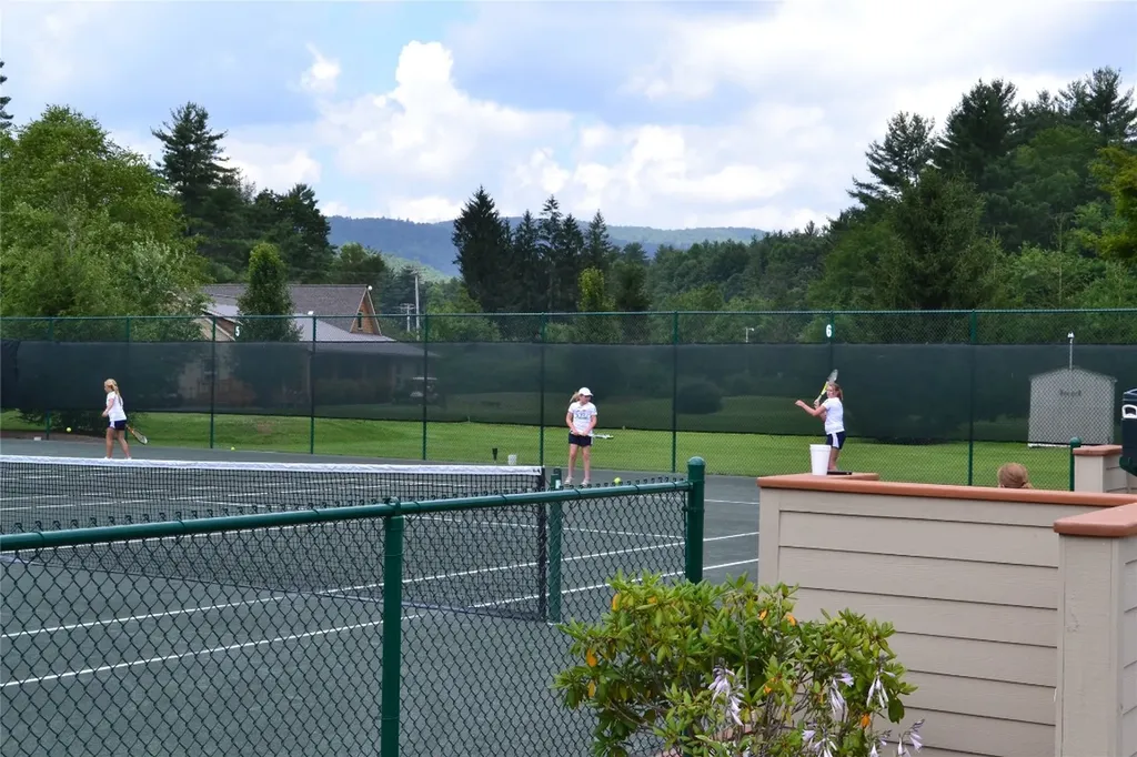 383 Wild Game Trail Sapphire NC 28774