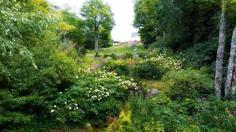 581 Sagee Woods Drive Highlands NC 28741