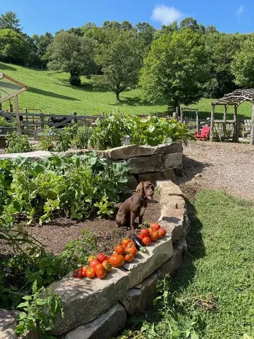 973 Sitting Rock Trail Cullowhee NC 28723