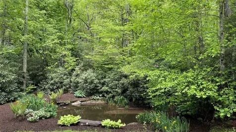 973 Sitting Rock Trail Cullowhee NC 28723