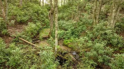 17 Power Line Road Glenville NC 28736