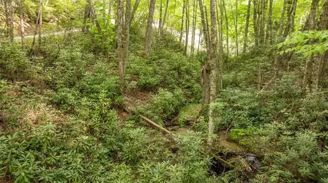 17 Power Line Road Glenville NC 28736