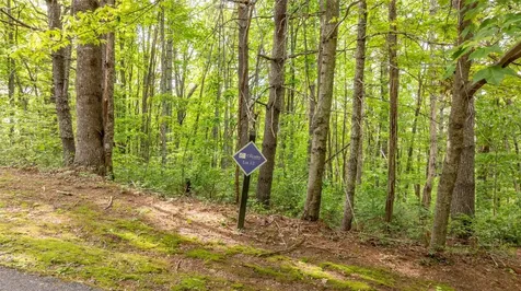 522 Receptive Drive Glenville NC 28736