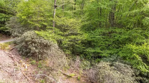 11 Power Line Road Glenville NC 28736