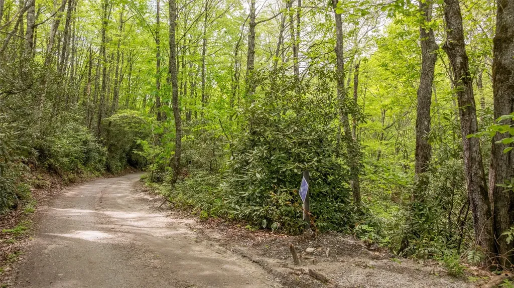 30 Eucalyptus Drive Glenville NC 28736