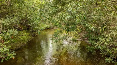 30 Eucalyptus Drive Glenville NC 28736