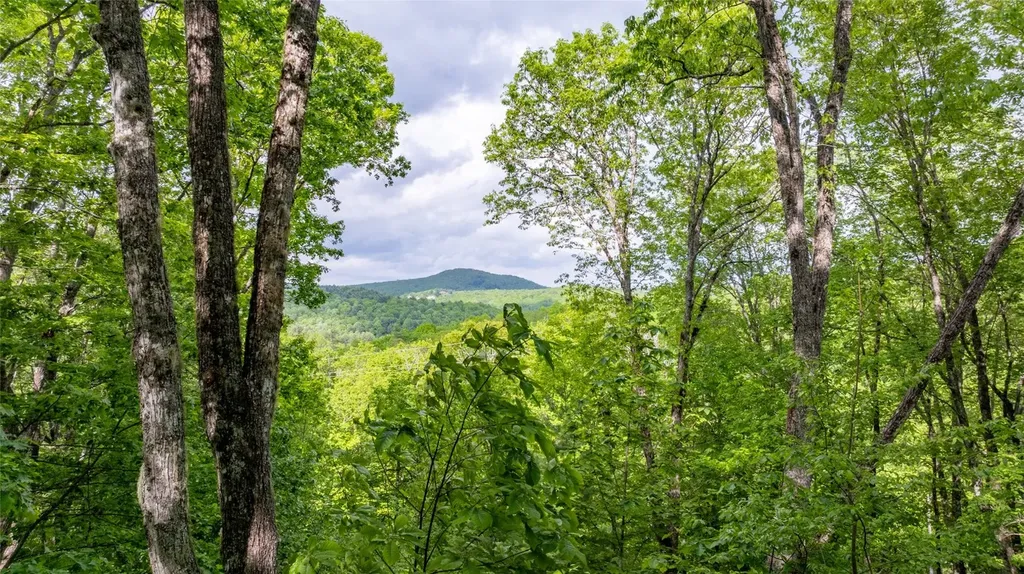 16 Receptive Drive Glenville NC 28736