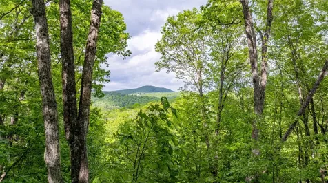 16 Receptive Drive Glenville NC 28736