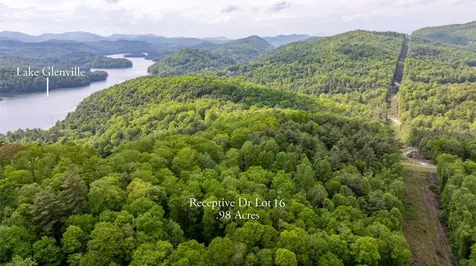 16 Receptive Drive Glenville NC 28736