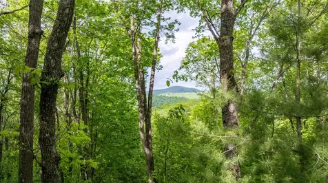 16 Receptive Drive Glenville NC 28736