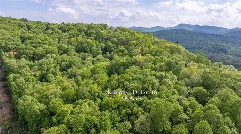 16 Receptive Drive Glenville NC 28736