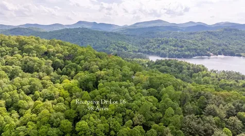 16 Receptive Drive Glenville NC 28736