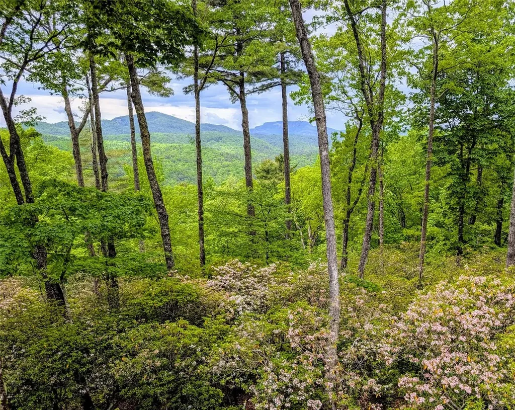 264 Jocassee Trail Sapphire NC 28774