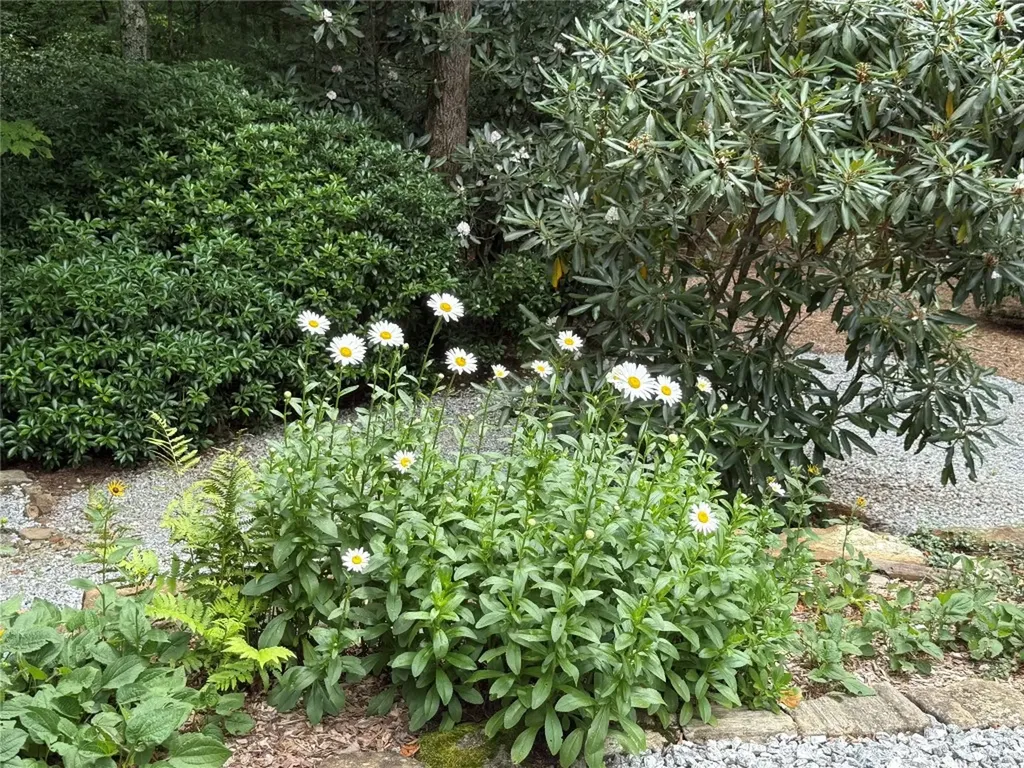 264 Jocassee Trail Sapphire NC 28774