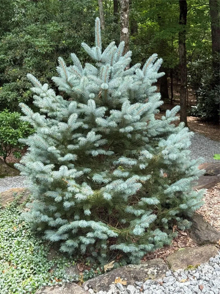 264 Jocassee Trail Sapphire NC 28774