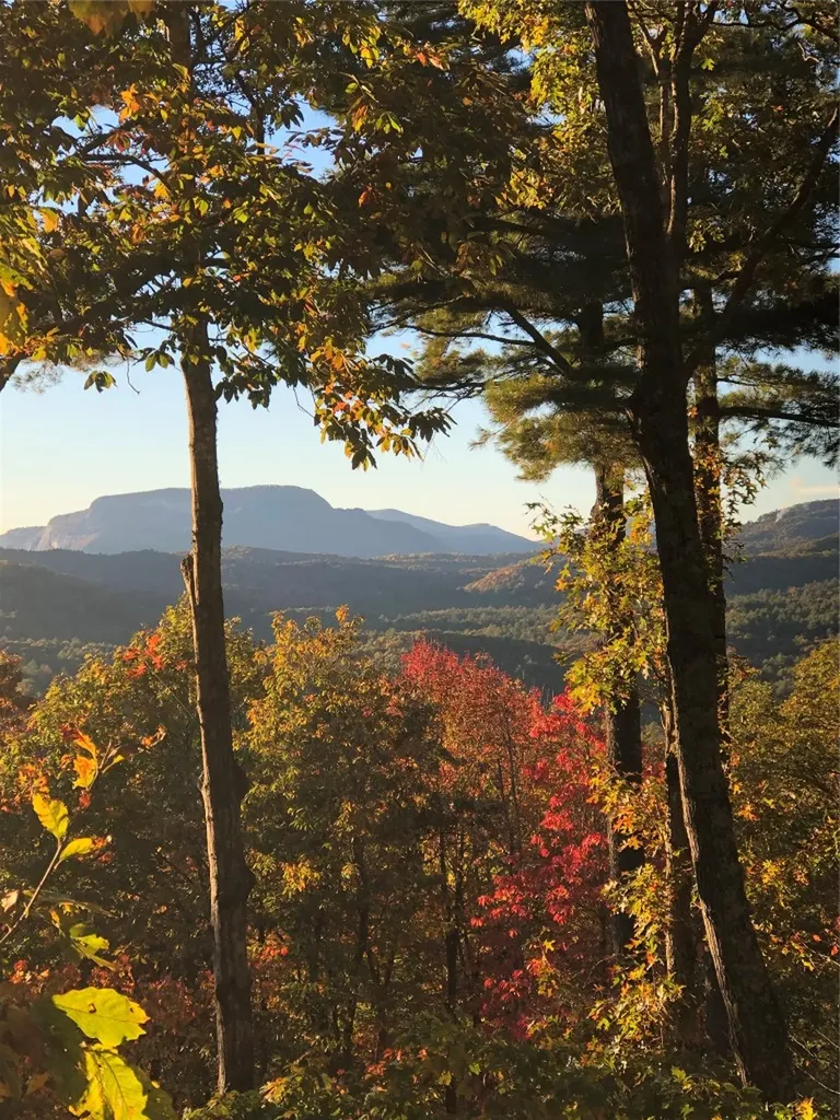 264 Jocassee Trail Sapphire NC 28774