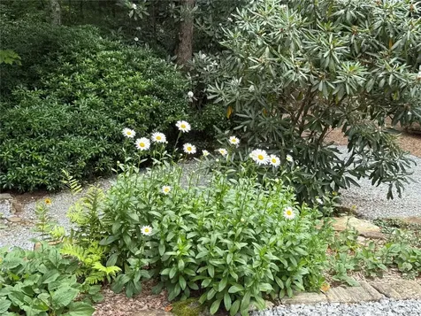 264 Jocassee Trail Sapphire NC 28774