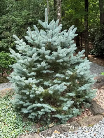 264 Jocassee Trail Sapphire NC 28774