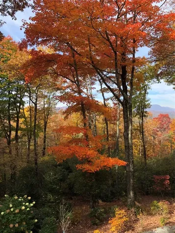 264 Jocassee Trail Sapphire NC 28774