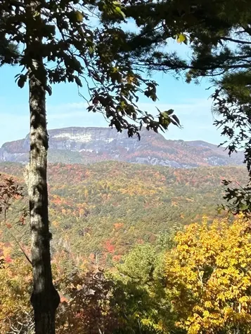 264 Jocassee Trail Sapphire NC 28774