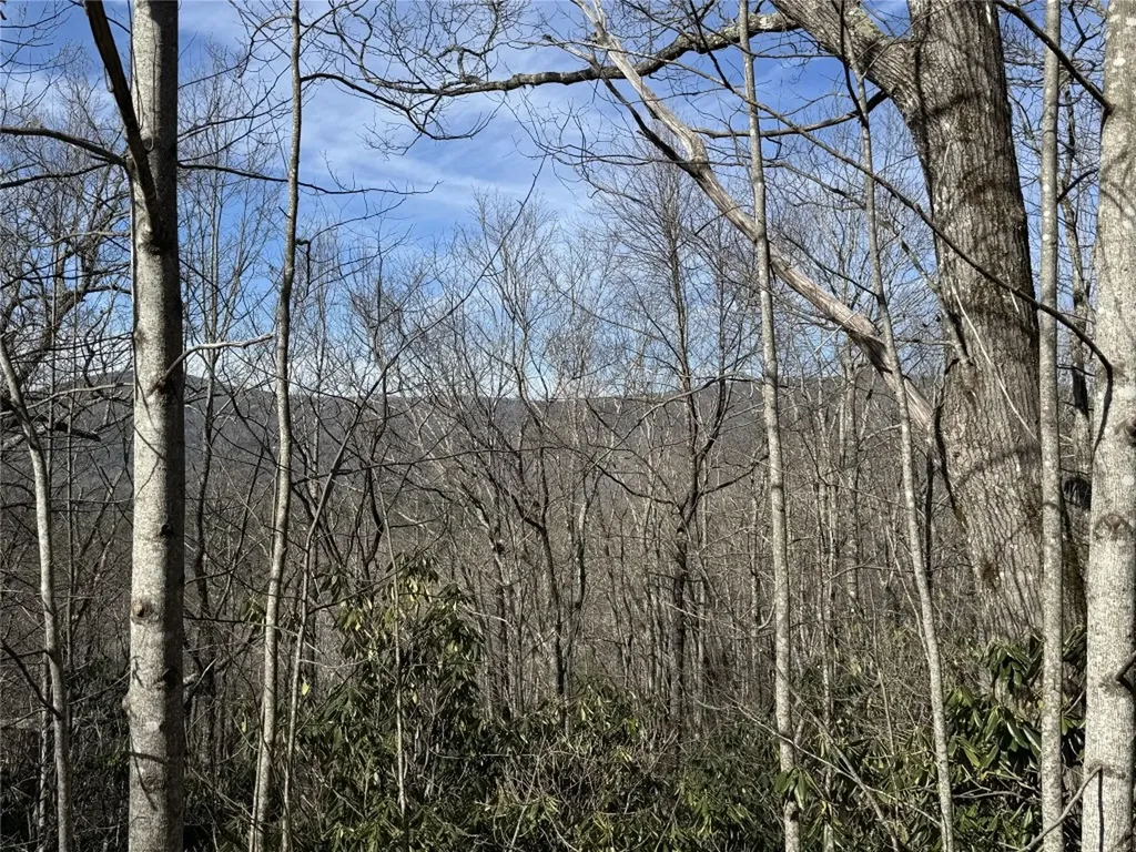 L13 Black Bear Court Sapphire NC 28774