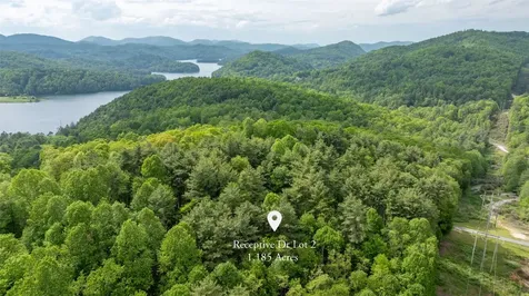 2 Receptive Drive Glenville NC 28736