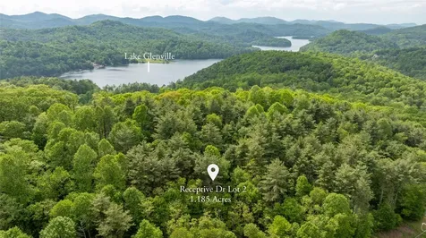 2 Receptive Drive Glenville NC 28736