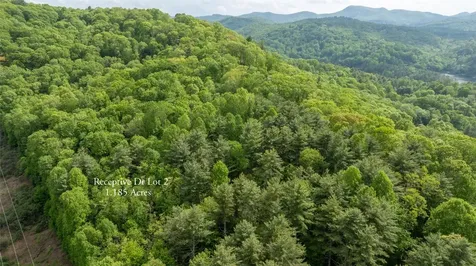 2 Receptive Drive Glenville NC 28736