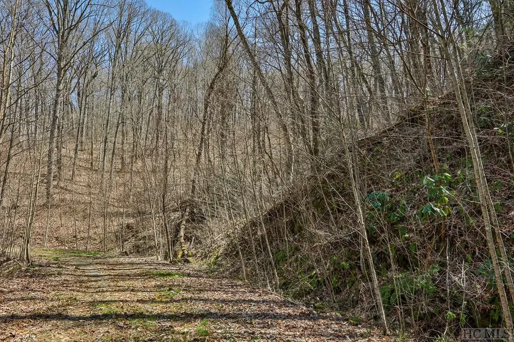 Tbd Bearwood Drive Cullowhee NC 28723