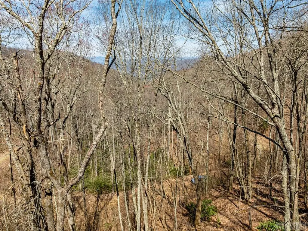 Tbd Bearwood Drive Cullowhee NC 28723