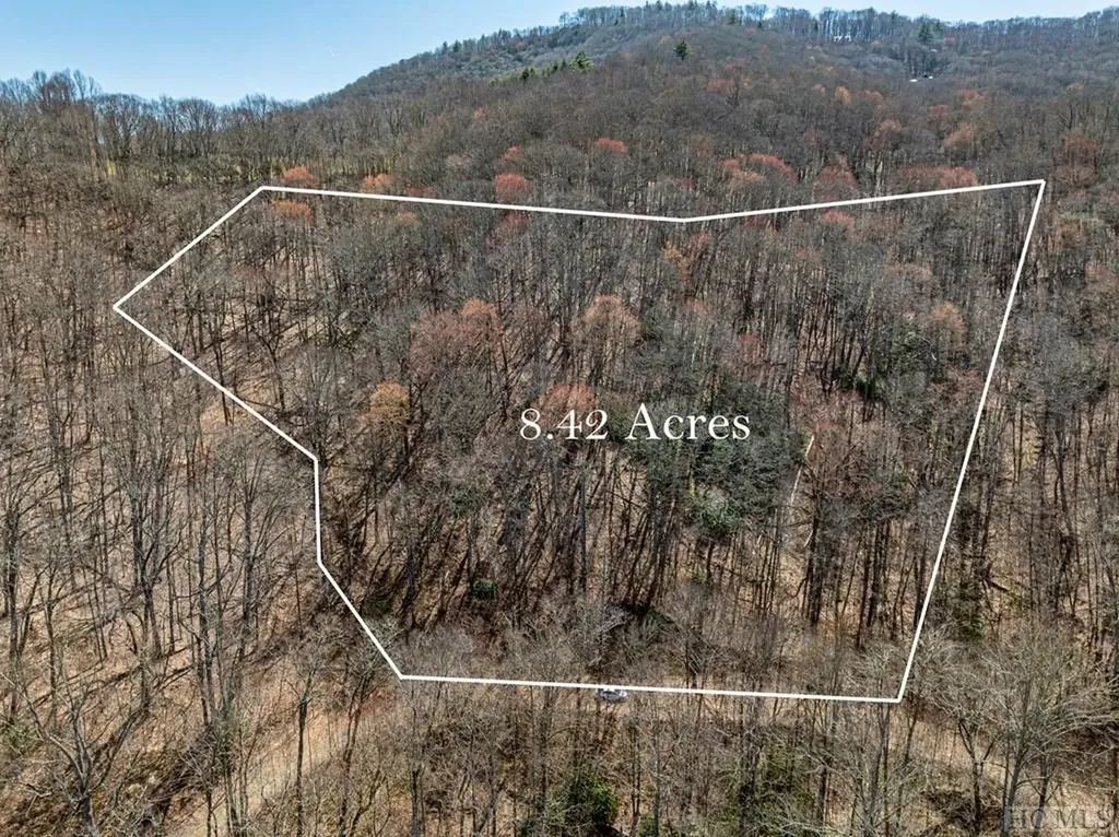 Tbd Bearwood Drive Cullowhee NC 28723