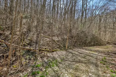 Tbd Bearwood Drive Cullowhee NC 28723