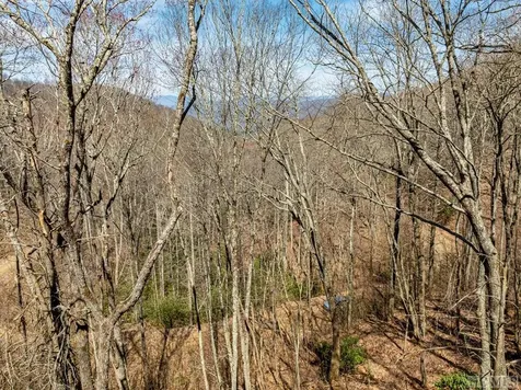 Tbd Bearwood Drive Cullowhee NC 28723