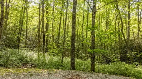 5 Power Line Road Glenville NC 28736