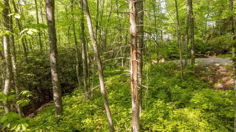5 Power Line Road Glenville NC 28736