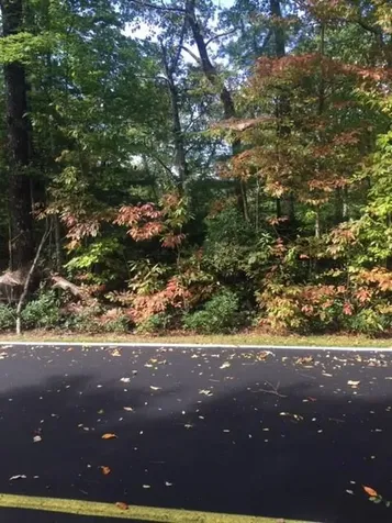 27 Hawk Mountain Road Lake Toxaway NC 28747