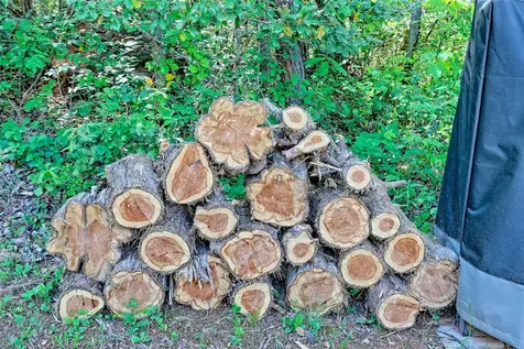 202 Wild Pear Lane Franklin NC 28734