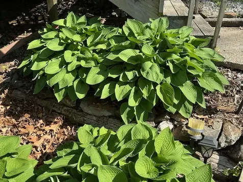 311 Wingina Place Highlands NC 28741