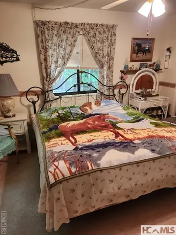 108 Easy Street Cedar Mountain NC 28718