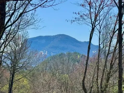 5 Millwood Lane Cashiers NC 28717