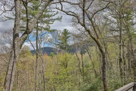 5 Millwood Lane Cashiers NC 28717