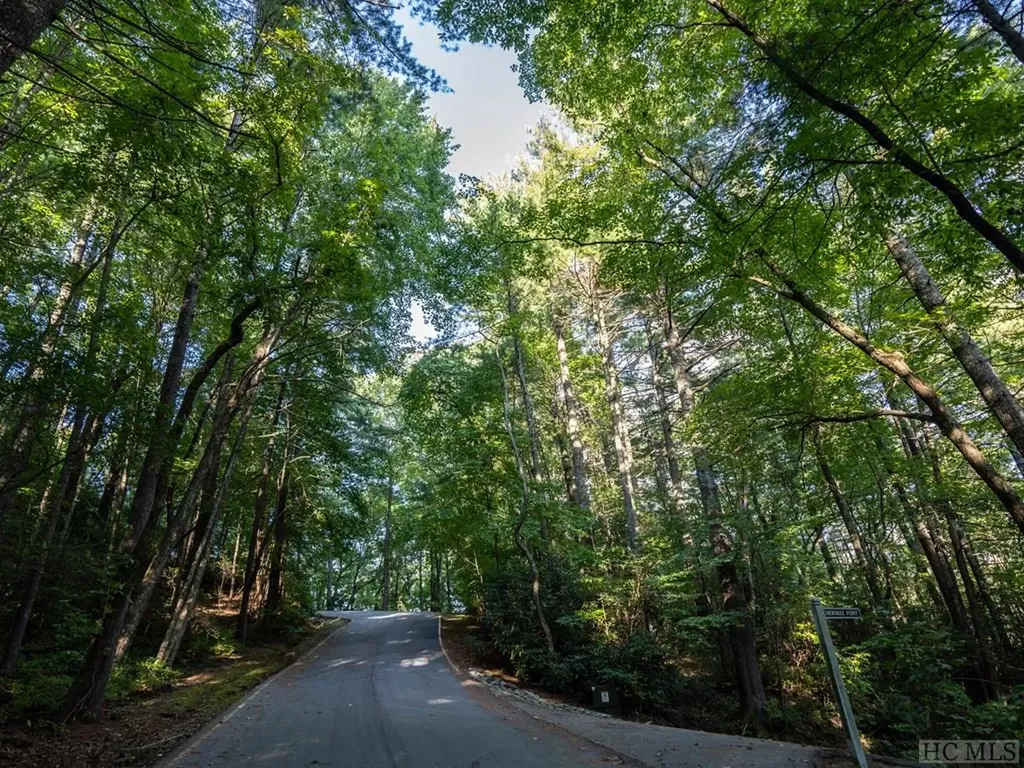 J 29 Cherokee Trace Lake Toxaway NC 28747