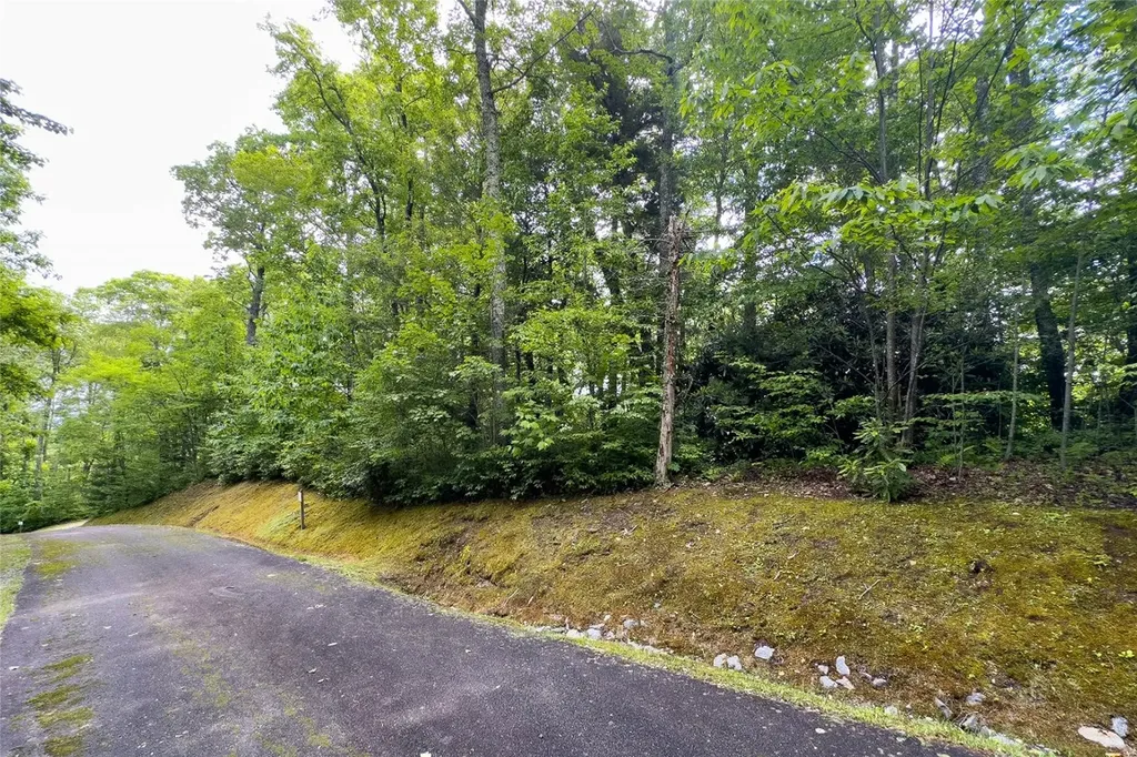 Lot 12 Horseshoe Bend Lane Cullowhee NC 28723