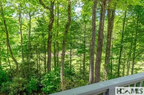 78 Whisper Fade Road Cashiers NC 28717