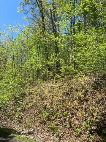 23 Green Drake Lane Cullowhee NC 28723