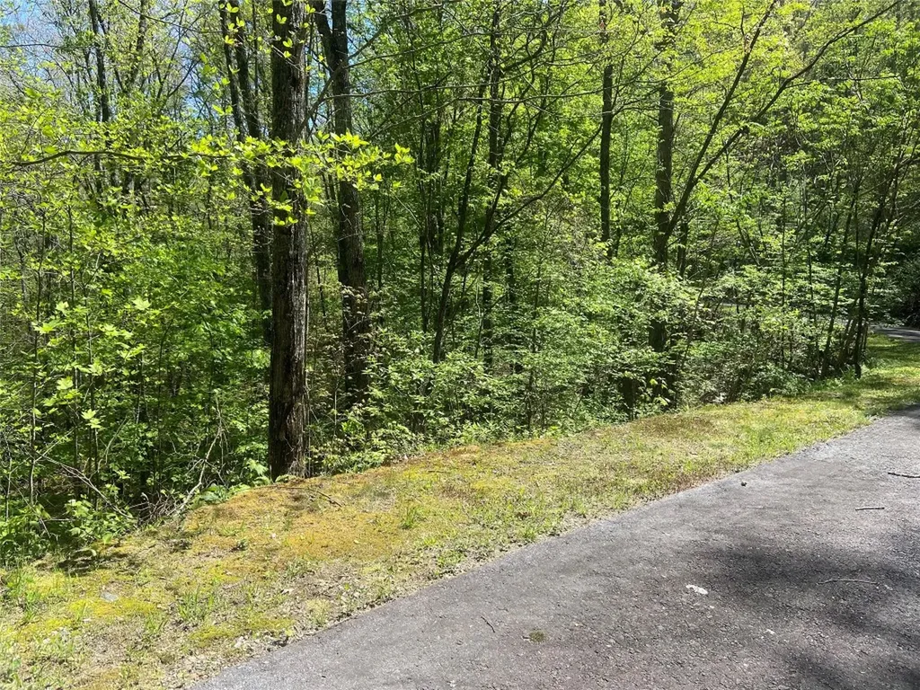 77 Royal Wulff Drive Cullowhee NC 28723