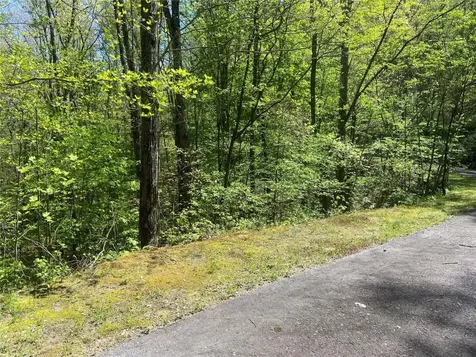 77 Royal Wulff Drive Cullowhee NC 28723